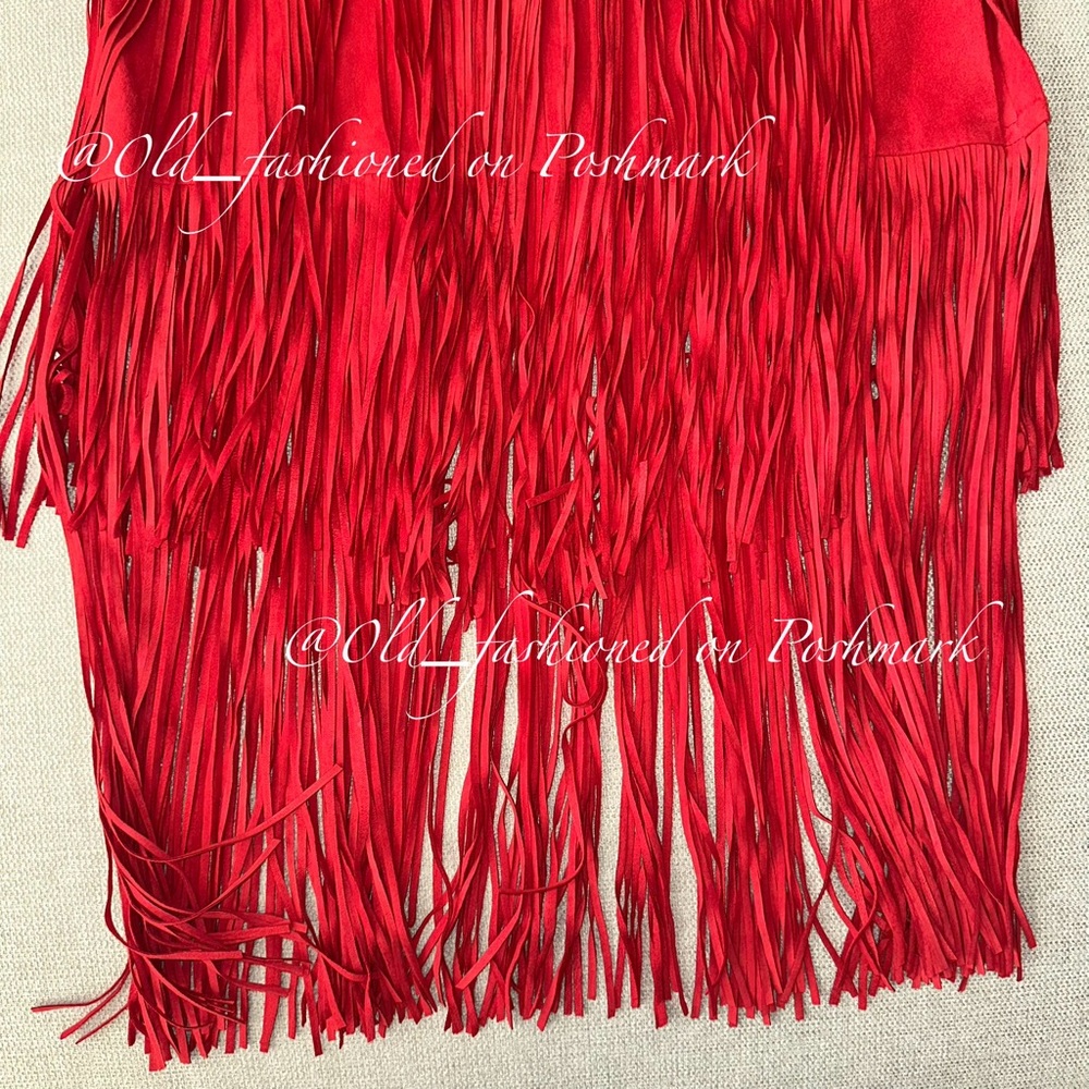 ZARA Suede Fringe Midi Skirt - Price Firm - Picture 8 of 13